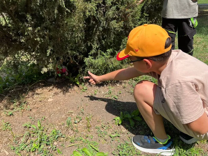 photo_11_2025-06-02_14-01-00