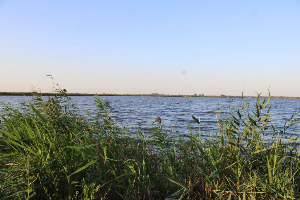 Сосыка-реченька (фото Орловой Ольги)