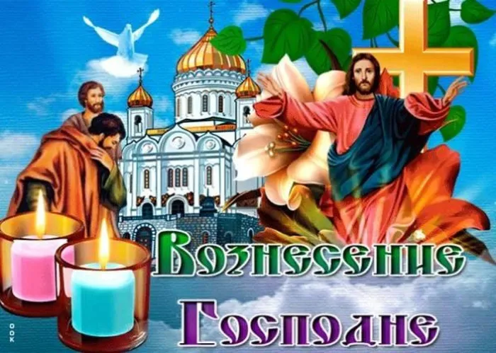 gLJx1T8YtVfMEU7KnD2W